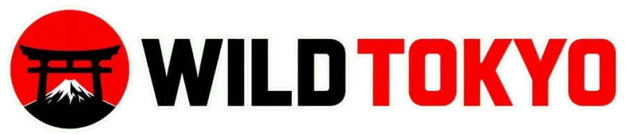 Casino online italia